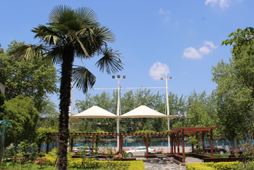 校園風(fēng)采
