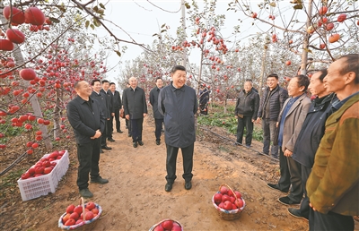 習(xí)近平在陜西延安和河南安陽考察時(shí)強(qiáng)調(diào)全面推進(jìn)鄉(xiāng)村振興 為實(shí)現(xiàn)農(nóng)業(yè)農(nóng)村現(xiàn)代化而不懈奮斗(圖1)