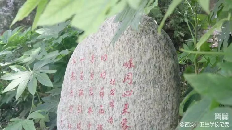 【廉潔教育】沐廉潔文化，樹清廉之風(fēng)---校紀(jì)委組織黨員干部赴西安蓮湖廉潔文化主題公園開展廉潔文化教育(圖4)