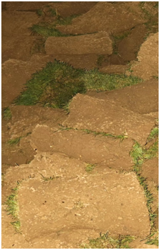 西安市衛(wèi)生學校中心花園修葺工程比價采購公告(圖2)