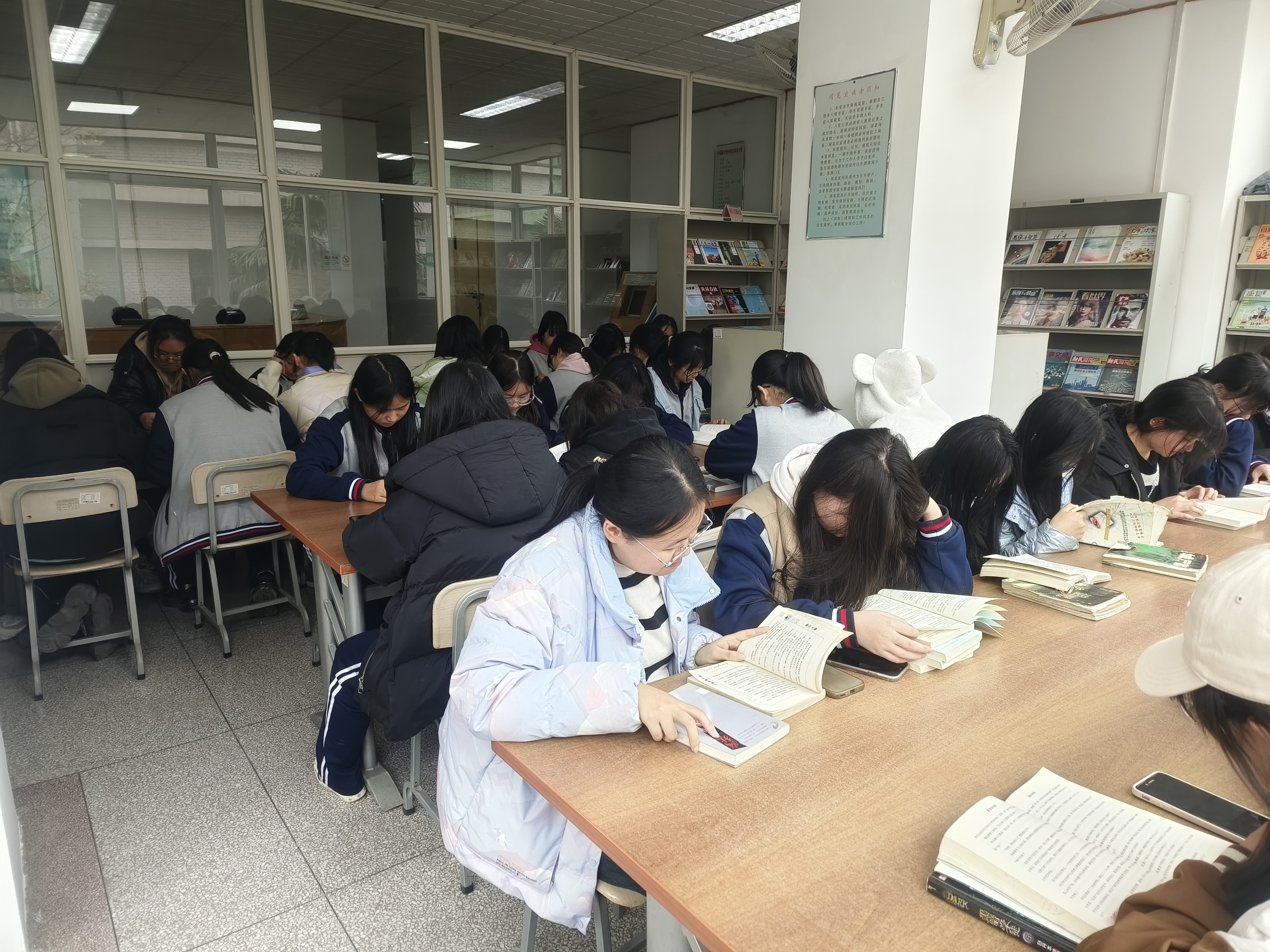 一年級學生入館培訓順利舉辦(圖4)