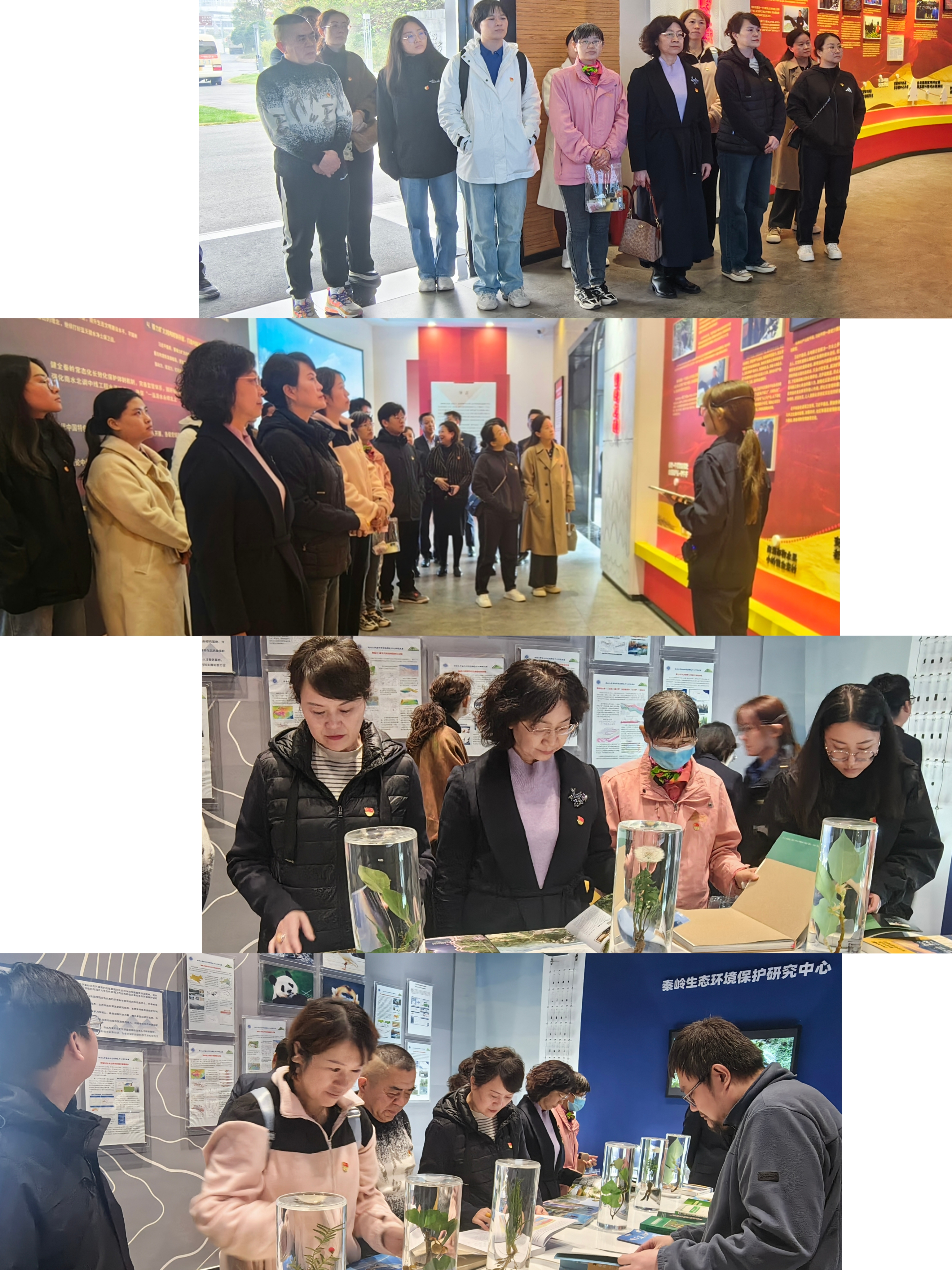 繃緊紀(jì)律之弦，守住廉潔底線--西安市衛(wèi)生學(xué)校組織黨員干部赴鄠邑區(qū)秦嶺北麓違建警示教育基地參觀學(xué)習(xí)(圖2)
